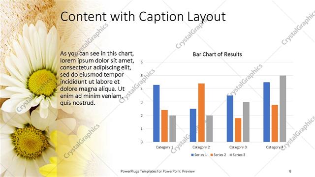 Content with Caption presentation slide layout