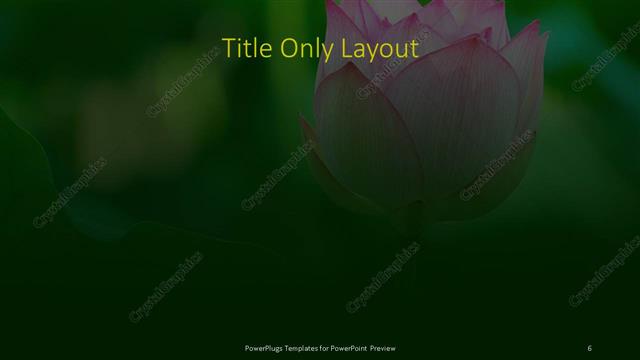 Title Only presentation slide layout