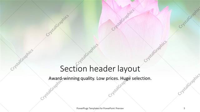 Section Header presentation slide layout