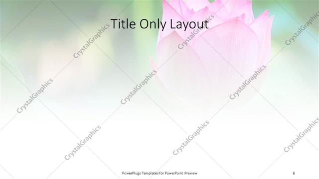 Title Only presentation slide layout