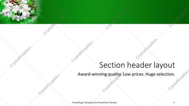 Section Header presentation slide layout