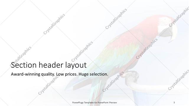 Section Header presentation slide layout