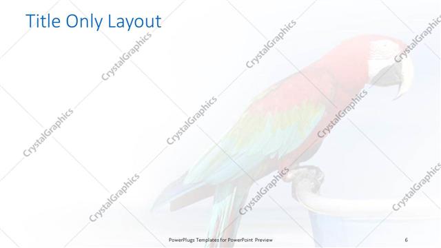 Title Only presentation slide layout