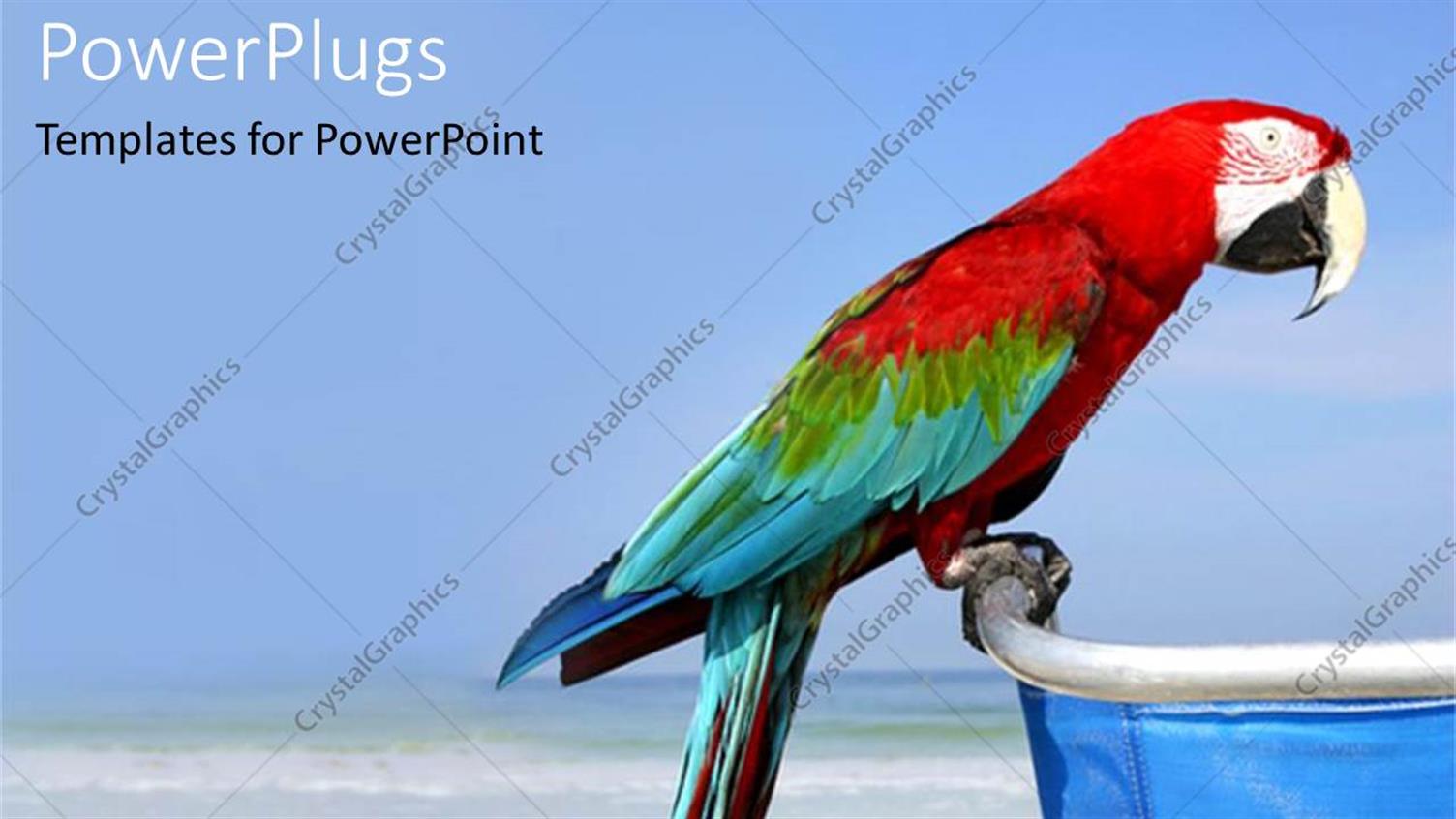 Premium Template for PowerPoint & Google Slides 