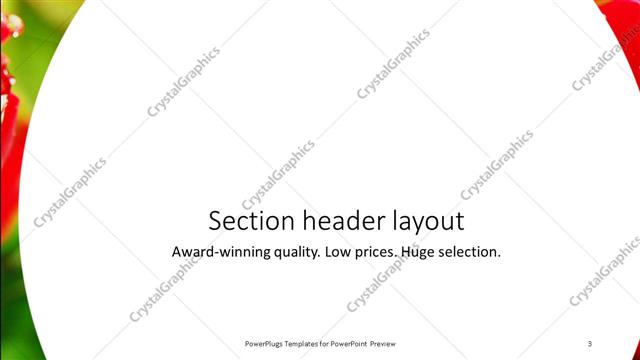 Section Header presentation slide layout