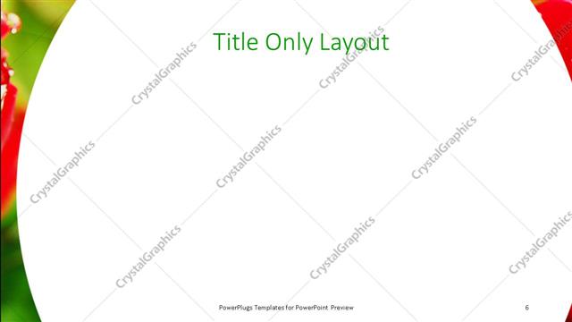 Title Only presentation slide layout