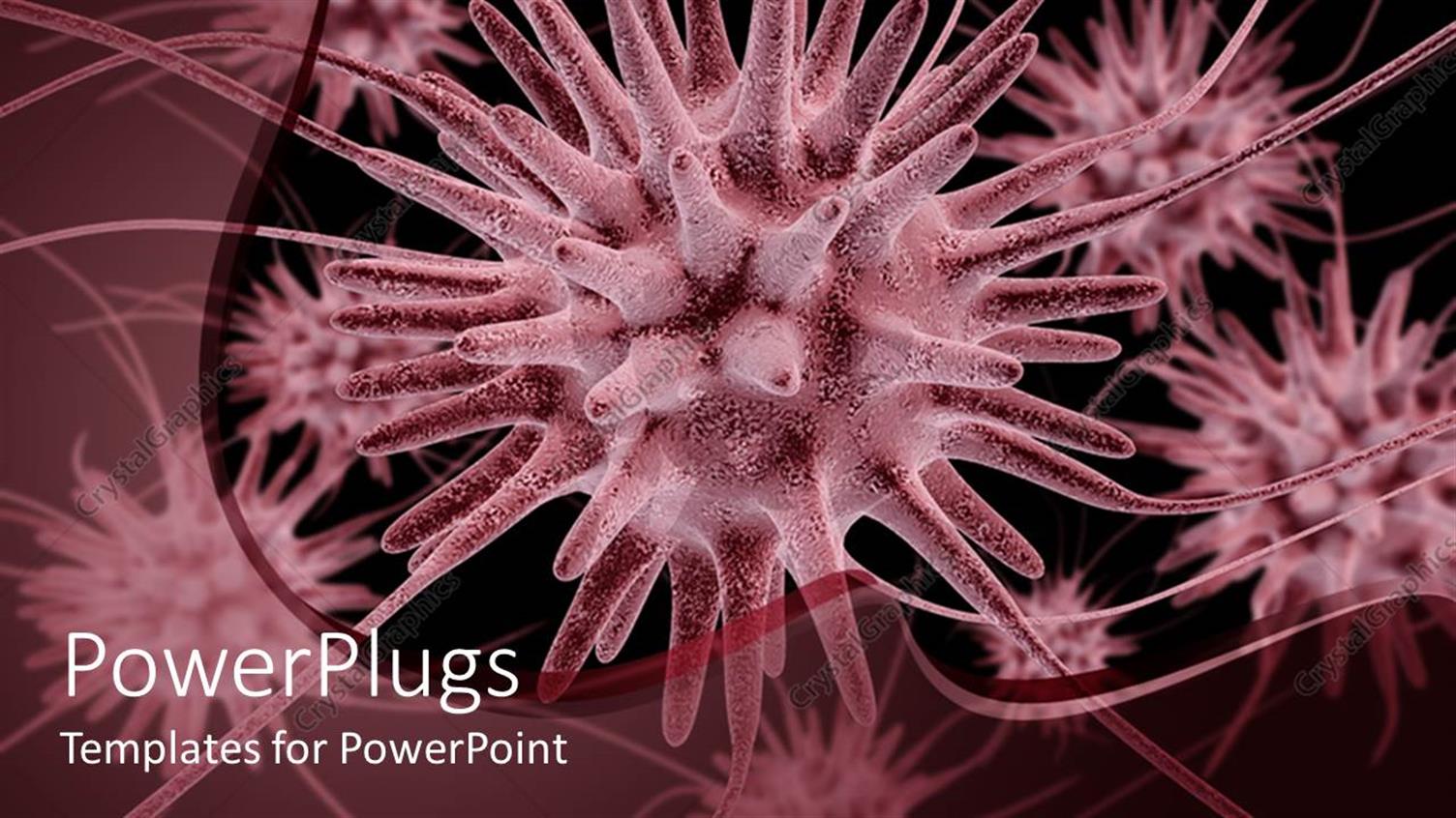 Premium Template for PowerPoint & Google Slides 