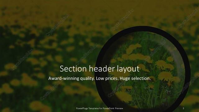 Section Header presentation slide layout