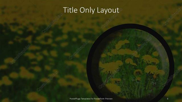 Title Only presentation slide layout