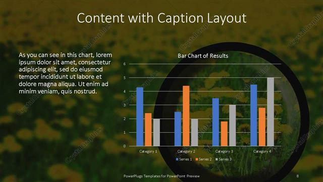 Content with Caption presentation slide layout