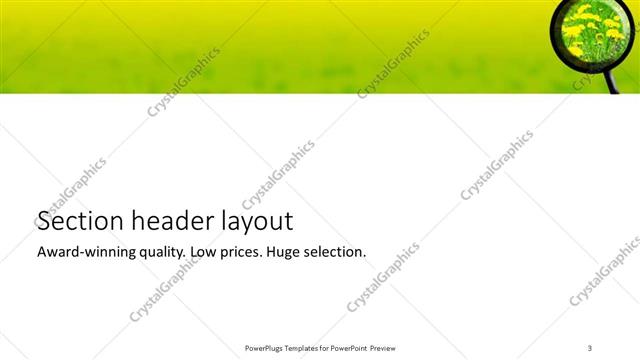 Section Header presentation slide layout