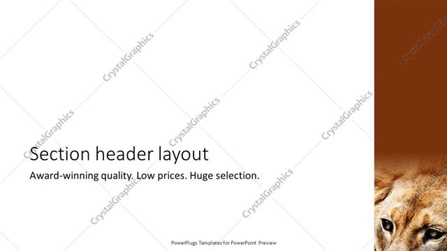 Section Header presentation slide layout