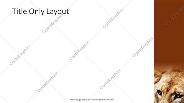 Title Only presentation slide layout