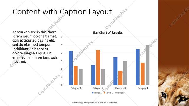 Content with Caption presentation slide layout