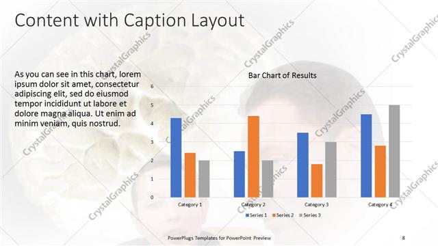 Content with Caption presentation slide layout