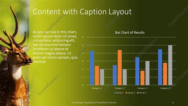 Content with Caption presentation slide layout
