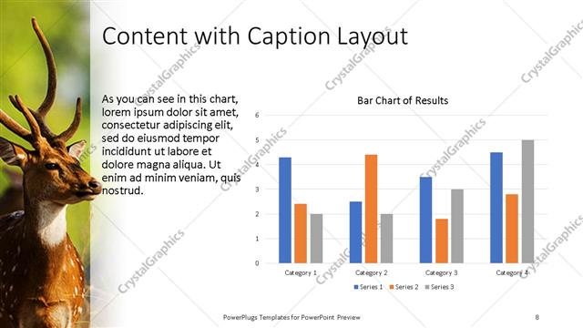 Content with Caption presentation slide layout