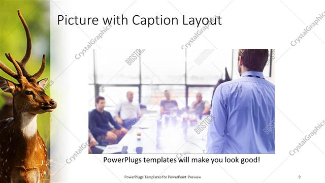 Picture with Caption presentation slide layout