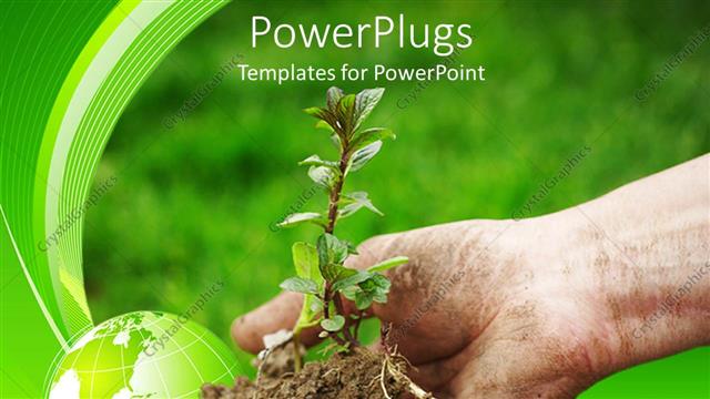  Presentation with green globe - Man hand of a farmer holding a young plant and transparent green depiction of Globe on green background