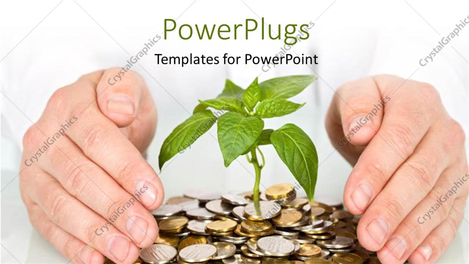 Featuring Man Hands Protecting Plant Sprouting from Gold Coins 