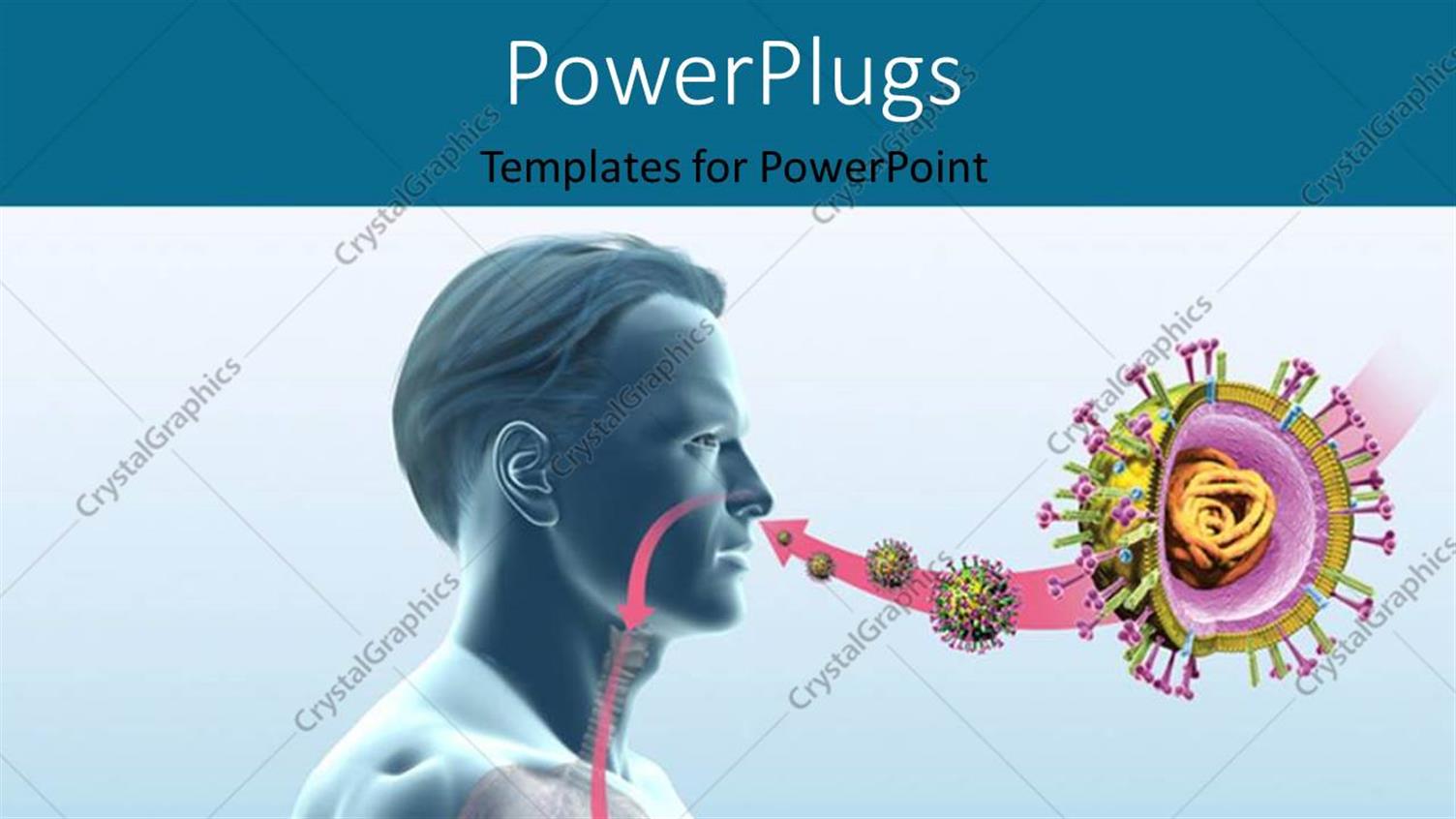 Premium Template for PowerPoint & Google Slides 