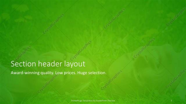 Section Header presentation slide layout