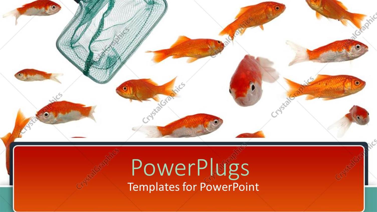 Premium Template for PowerPoint & Google Slides 