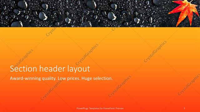 Section Header presentation slide layout
