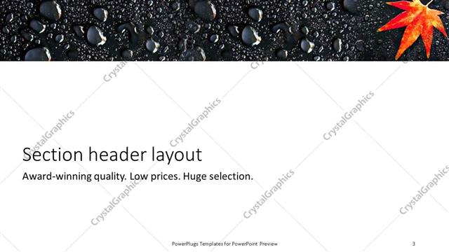 Section Header presentation slide layout