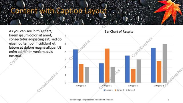Content with Caption presentation slide layout