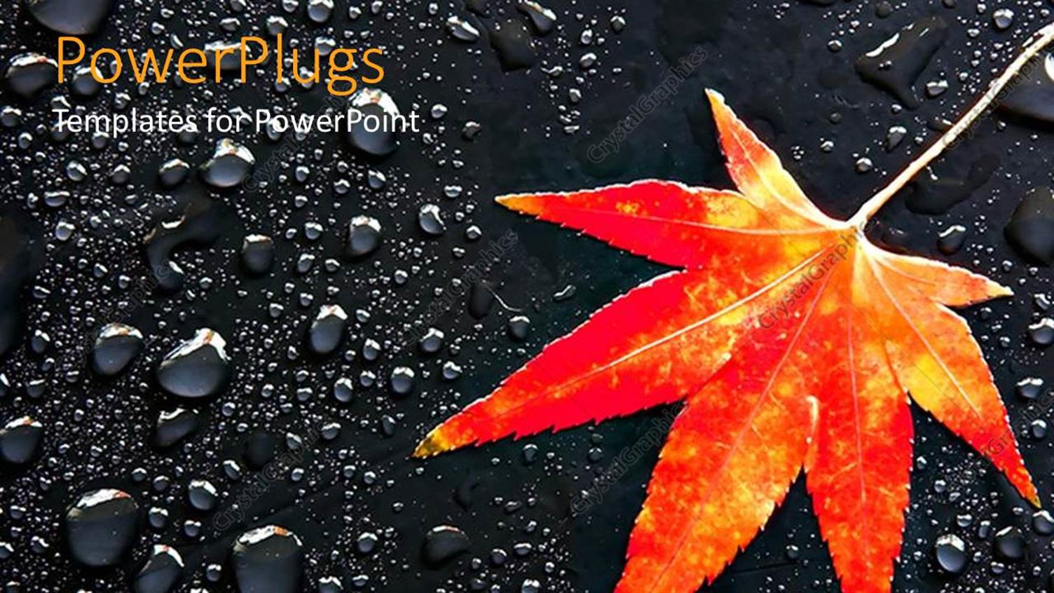 Premium Template for PowerPoint & Google Slides 