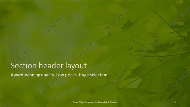 Section Header presentation slide layout