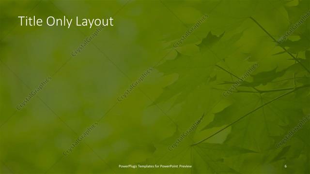 Title Only presentation slide layout