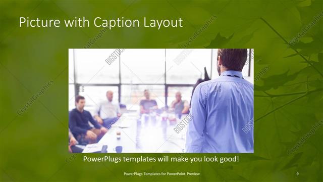 Picture with Caption presentation slide layout