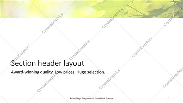 Section Header presentation slide layout