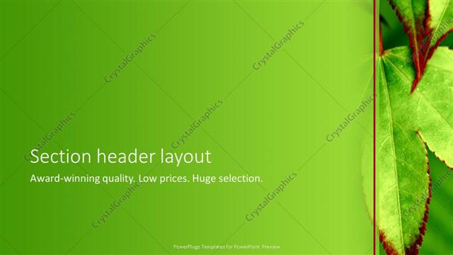 Section Header presentation slide layout
