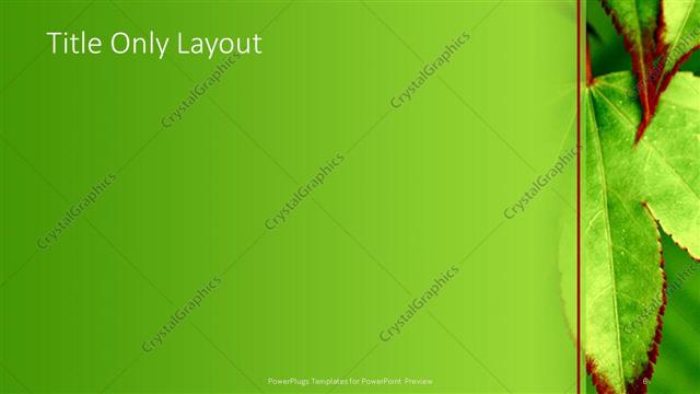 Title Only presentation slide layout