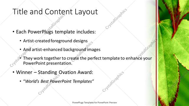 Title and Content presentation slide layout