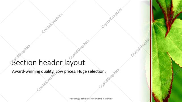 Section Header presentation slide layout