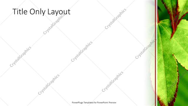 Title Only presentation slide layout