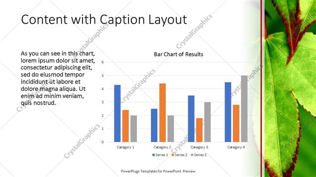 Content with Caption presentation slide layout