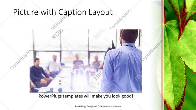 Picture with Caption presentation slide layout