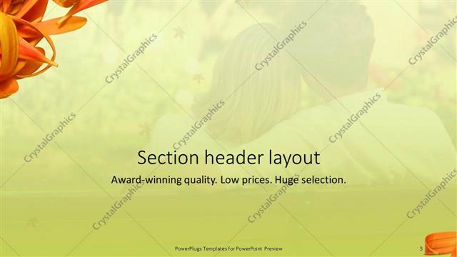 Section Header presentation slide layout