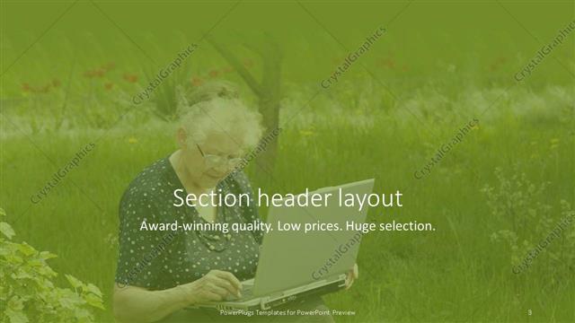 Section Header presentation slide layout