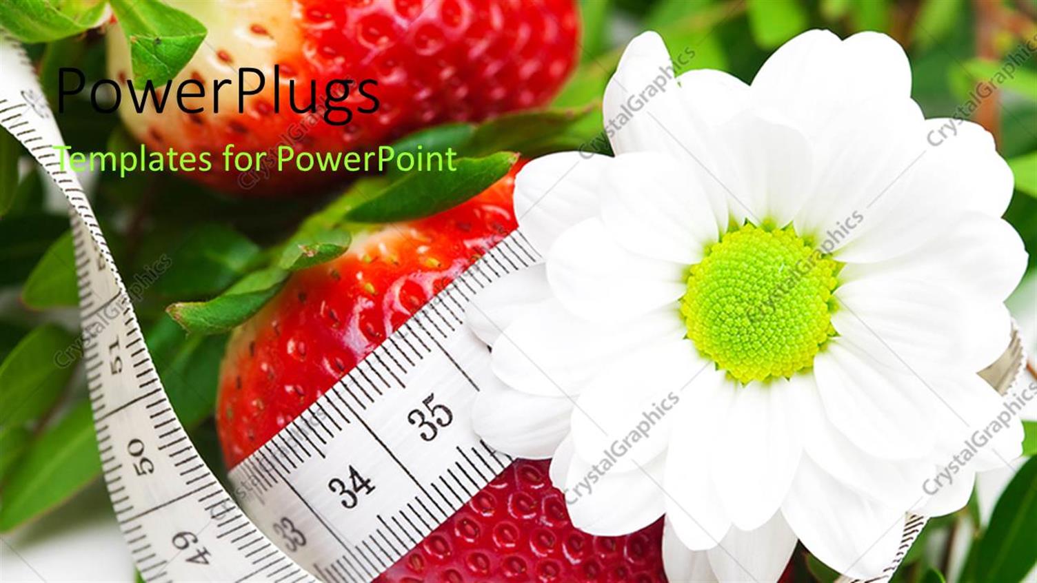 Featuring a Measuring Tape Around Two Strawberries with a White Flower