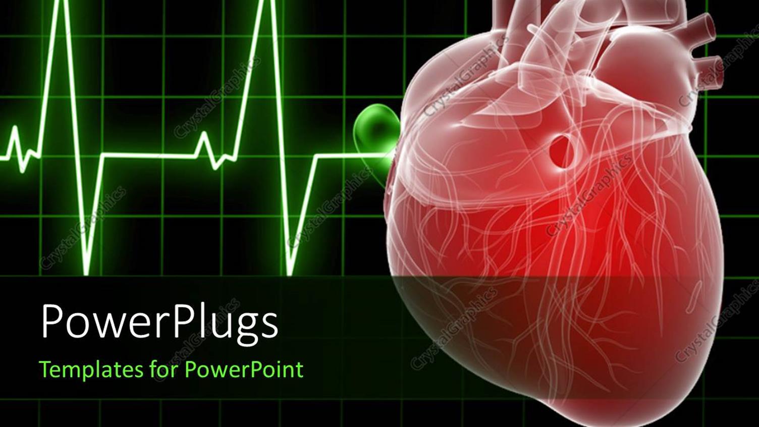 Premium Template for PowerPoint & Google Slides 