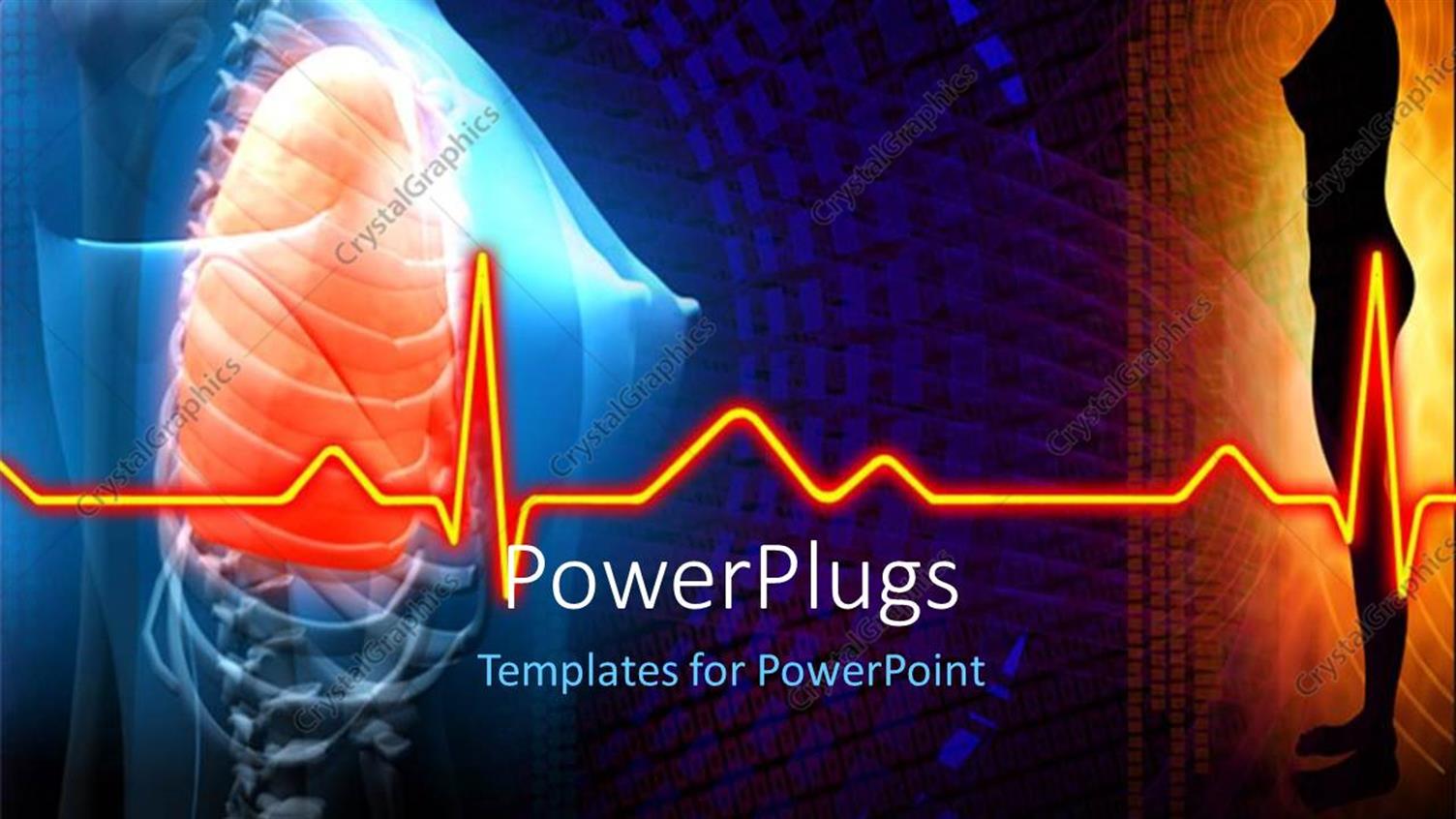 Premium Template for PowerPoint & Google Slides 