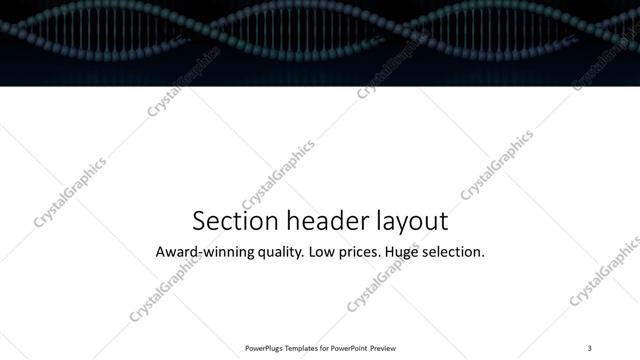 Section Header presentation slide layout