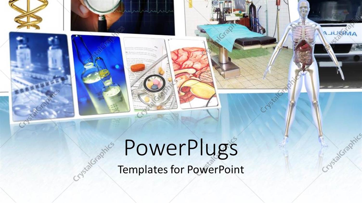 Premium Template for PowerPoint & Google Slides 