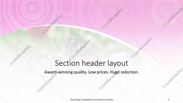 Section Header presentation slide layout